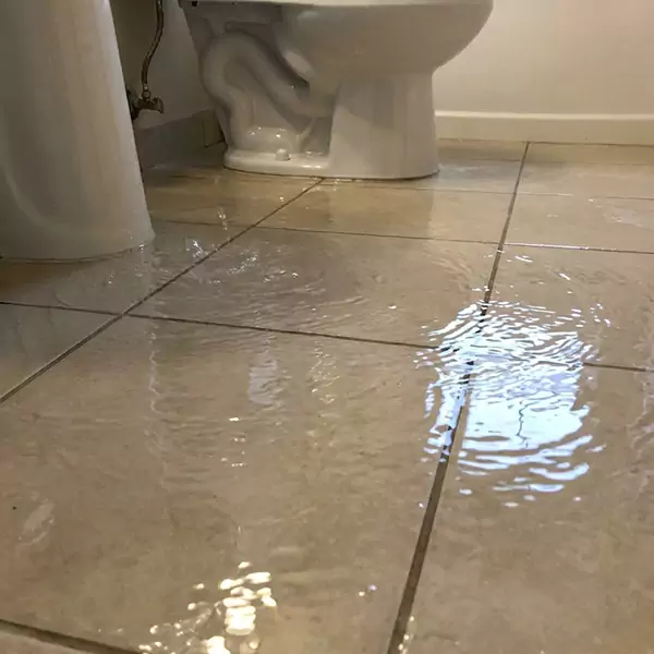 Expert Flooded Bathroom Restoration in Weston, FL 