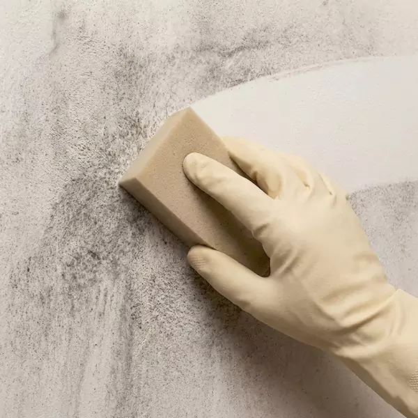 Smoke Cleaning in Weston, FL 