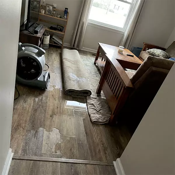 Water Restoration in Weston, FL