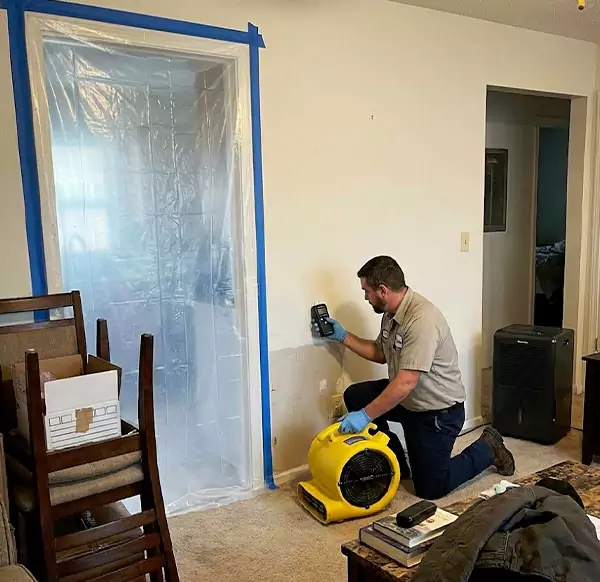 Why Homeowners & Businesses Choose Weston Town Restoration for Water Remediation in Weston, FL?