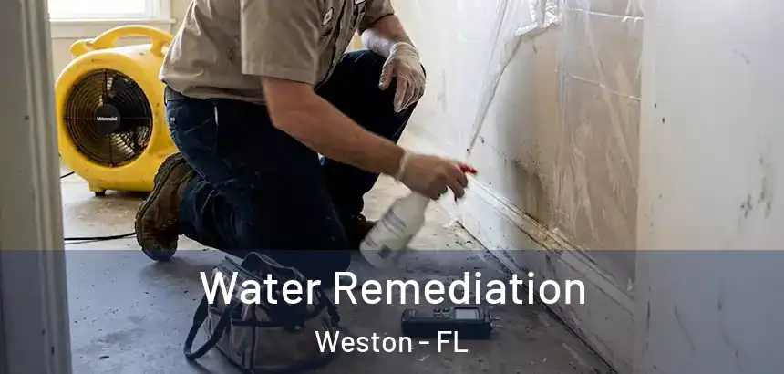  Water Remediation Weston - FL